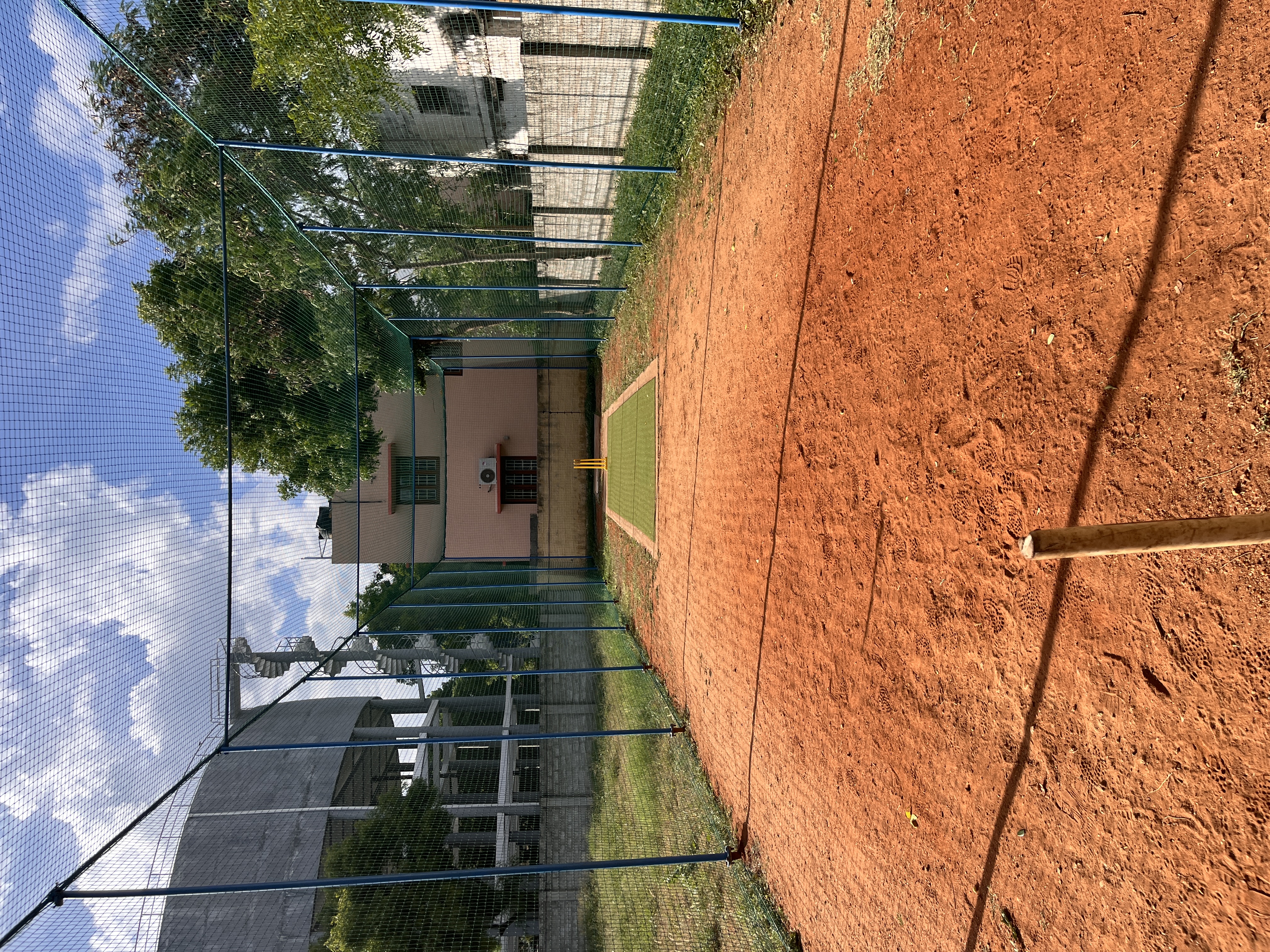 Cricket Action